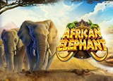 African Elephant™